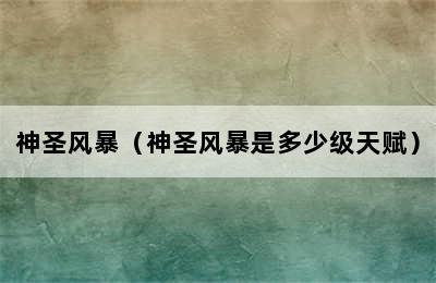 神圣风暴（神圣风暴是多少级天赋）