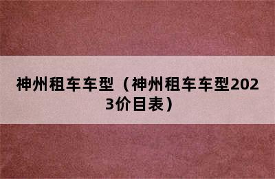 神州租车车型（神州租车车型2023价目表）