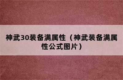 神武30装备满属性（神武装备满属性公式图片）