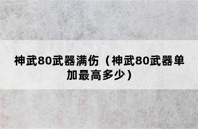 神武80武器满伤（神武80武器单加最高多少）