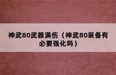 神武80武器满伤（神武80装备有必要强化吗）