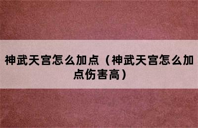 神武天宫怎么加点（神武天宫怎么加点伤害高）