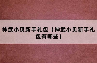 神武小贝新手礼包（神武小贝新手礼包有哪些）