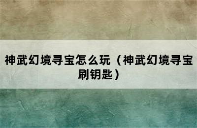 神武幻境寻宝怎么玩（神武幻境寻宝刷钥匙）