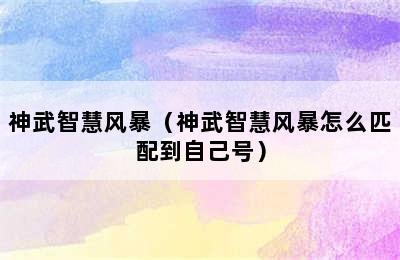 神武智慧风暴（神武智慧风暴怎么匹配到自己号）