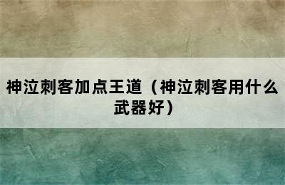 神泣刺客加点王道（神泣刺客用什么武器好）