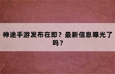 神途手游发布在即？最新信息曝光了吗？