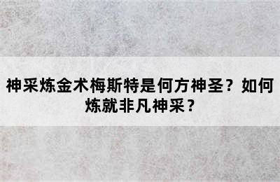 神采炼金术梅斯特是何方神圣？如何炼就非凡神采？