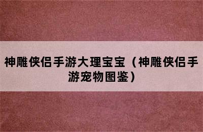 神雕侠侣手游大理宝宝（神雕侠侣手游宠物图鉴）