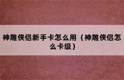 神雕侠侣新手卡怎么用（神雕侠侣怎么卡级）