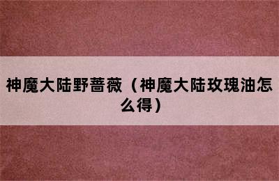 神魔大陆野蔷薇（神魔大陆玫瑰油怎么得）