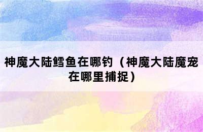 神魔大陆鳕鱼在哪钓（神魔大陆魔宠在哪里捕捉）