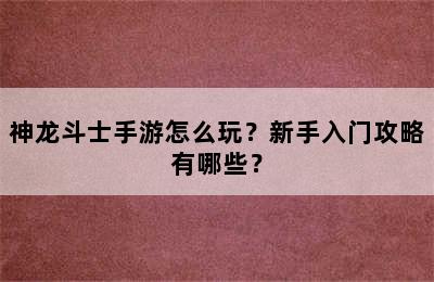 神龙斗士手游怎么玩？新手入门攻略有哪些？