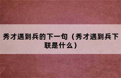 秀才遇到兵的下一句（秀才遇到兵下联是什么）