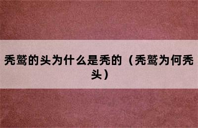 秃鹫的头为什么是秃的（秃鹫为何秃头）