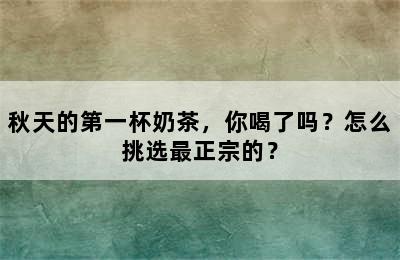 秋天的第一杯奶茶，你喝了吗？怎么挑选最正宗的？