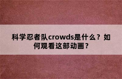 科学忍者队crowds是什么？如何观看这部动画？