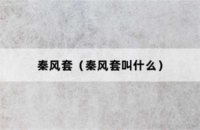 秦风套（秦风套叫什么）