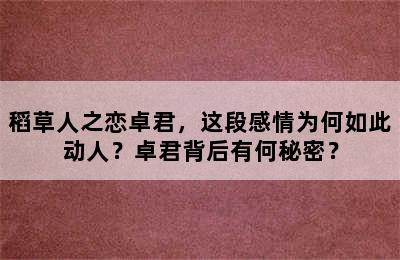 稻草人之恋卓君，这段感情为何如此动人？卓君背后有何秘密？