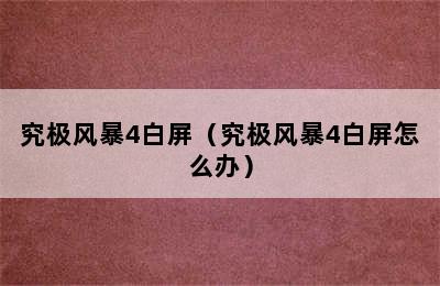 究极风暴4白屏（究极风暴4白屏怎么办）