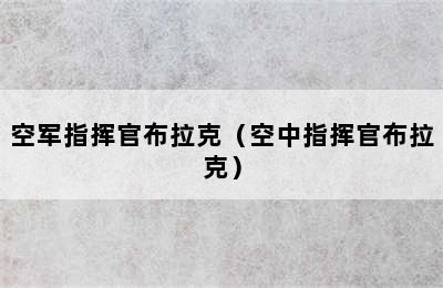 空军指挥官布拉克（空中指挥官布拉克）