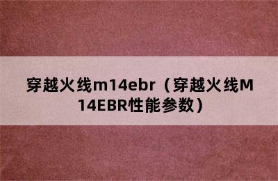 穿越火线m14ebr（穿越火线M14EBR性能参数）