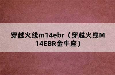 穿越火线m14ebr（穿越火线M14EBR金牛座）