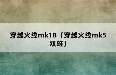 穿越火线mk18（穿越火线mk5双雄）