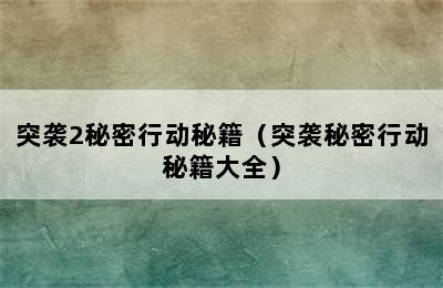 突袭2秘密行动秘籍（突袭秘密行动秘籍大全）