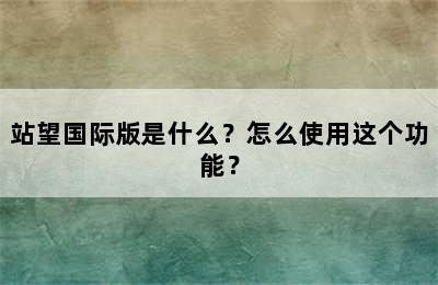 站望国际版是什么？怎么使用这个功能？