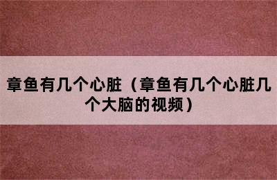 章鱼有几个心脏（章鱼有几个心脏几个大脑的视频）