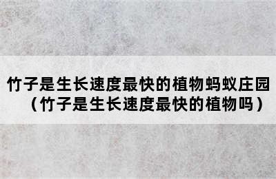 竹子是生长速度最快的植物蚂蚁庄园（竹子是生长速度最快的植物吗）