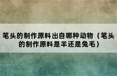 笔头的制作原料出自哪种动物（笔头的制作原料是羊还是兔毛）