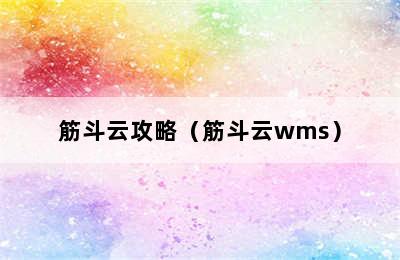 筋斗云攻略（筋斗云wms）