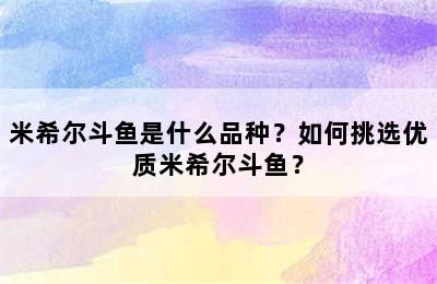 米希尔斗鱼是什么品种？如何挑选优质米希尔斗鱼？