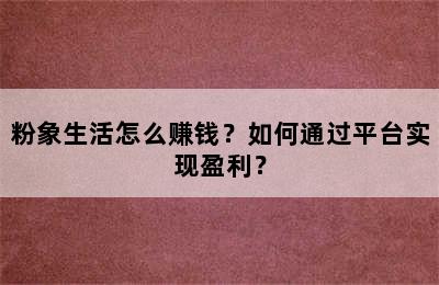 粉象生活怎么赚钱？如何通过平台实现盈利？