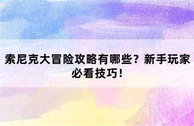 索尼克大冒险攻略有哪些？新手玩家必看技巧！