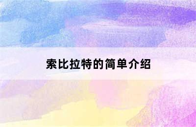 索比拉特的简单介绍