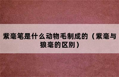 紫毫笔是什么动物毛制成的（紫毫与狼毫的区别）