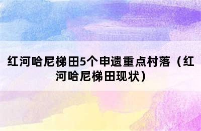 红河哈尼梯田5个申遗重点村落（红河哈尼梯田现状）