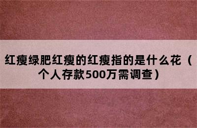 红瘦绿肥红瘦的红瘦指的是什么花（个人存款500万需调查）