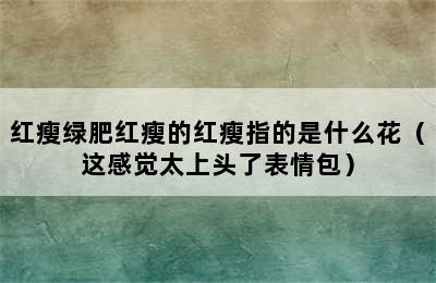 红瘦绿肥红瘦的红瘦指的是什么花（这感觉太上头了表情包）