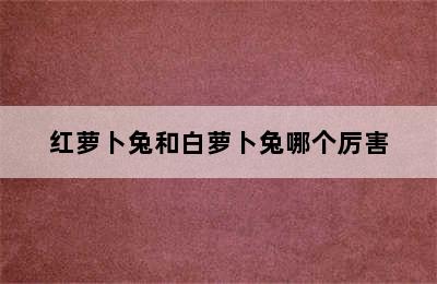 红萝卜兔和白萝卜兔哪个厉害