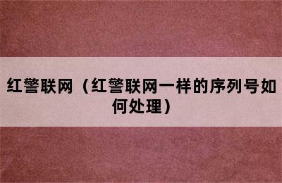 红警联网（红警联网一样的序列号如何处理）