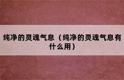 纯净的灵魂气息（纯净的灵魂气息有什么用）