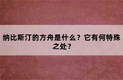 纳比斯汀的方舟是什么？它有何特殊之处？