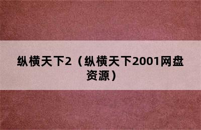 纵横天下2（纵横天下2001网盘资源）