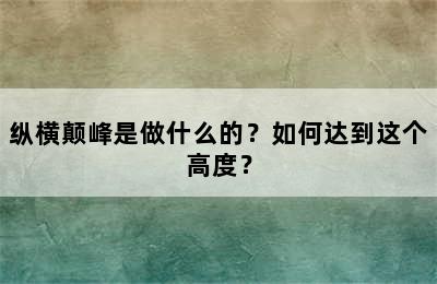 纵横颠峰是做什么的？如何达到这个高度？