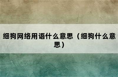 细狗网络用语什么意思（细狗什么意思）