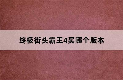 终极街头霸王4买哪个版本